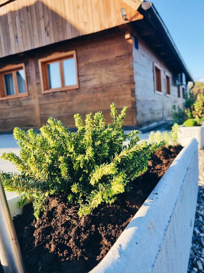 Ruralna Kuca Za Odmor Kablarovo Brdo Guest House Krnjak Eksteriør bilde